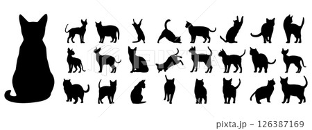Cats silhouette set. Black kitten in different poses 126387169