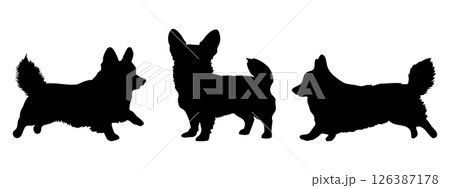 Corgi in different poses. Dog breed silhouette 126387178