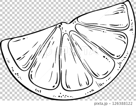 Orange Fruit  Outline Illustration 126388122