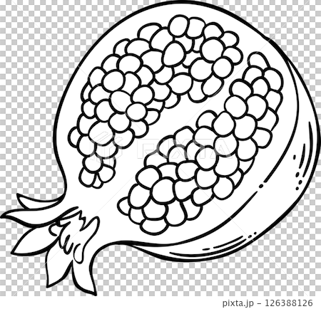 Pomegranate Fruit Outline Illustration. Organic natural nutritional healthy food ingredient, vegetarian diet product. 126388126