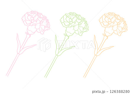 カーネーション 126388280