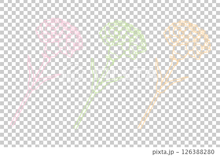 カーネーション 126388280