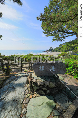 桂浜 石碑前 126388323