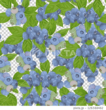 Seamless pattern with lots of blueberries and leaves Seamless pattern with lots of blueberries and leaves 126388482