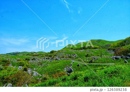 カルスト台地から見上げるカルストの情景 126389238