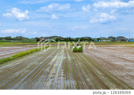 田植機による田植え作業 126389269