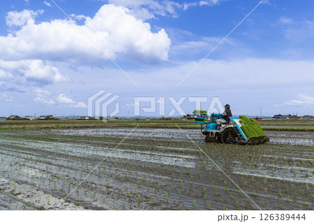 田植機による田植え作業 126389444