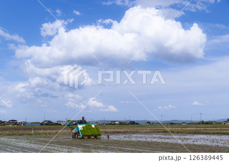 田植機による田植え作業 田植機による田植え作業 126389445