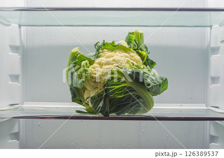 Cauliflower with vibrant green leaves placed on a shelf in a refrigerator. High quality photo Cauliflower with vibrant green leaves placed on a shelf in a refrigerator. High quality photo 126389537