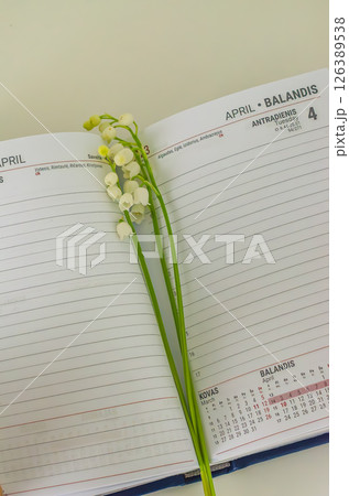 Blank planner pages with white flowers arranged on top for a fresh aesthetic. High quality photo Blank planner pages with white flowers arranged on top for a fresh aesthetic. High quality photo 126389538