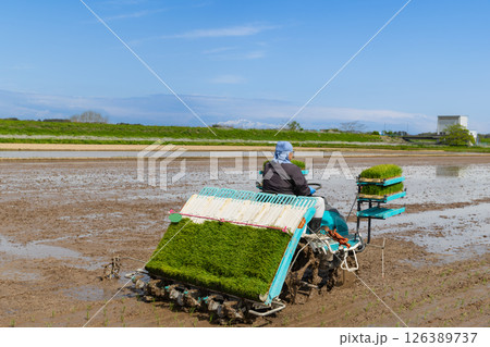 田植機による田植え作業 田植機による田植え作業 126389737