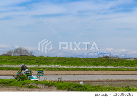 田植機による田植え作業と栗駒山 126390263