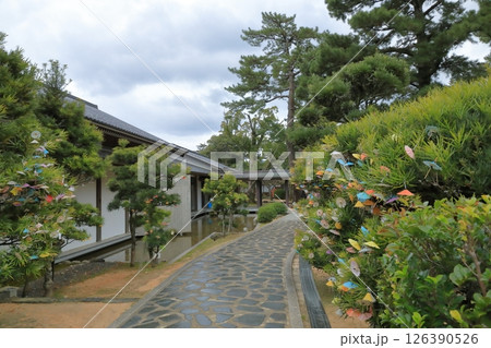 萩の松陰神社の参道の風景 126390526