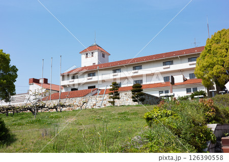 神戸市・農業公園（ワイン城）の風景 126390558