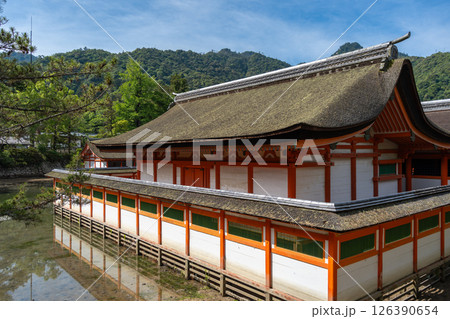 Traditional buildings of Itsukushima shrine in Miyajima, near Hiroshima 126390654