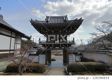 紅梅が咲く早春の山口の常栄寺の鐘楼門の眺め 紅梅が咲く早春の山口の常栄寺の鐘楼門の眺め 126390854