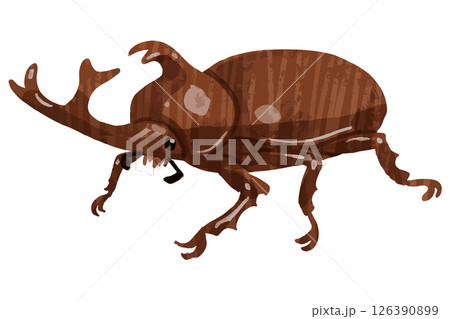 カブトムシのベクターイラスト 126390899
