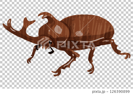 カブトムシのベクターイラスト 126390899