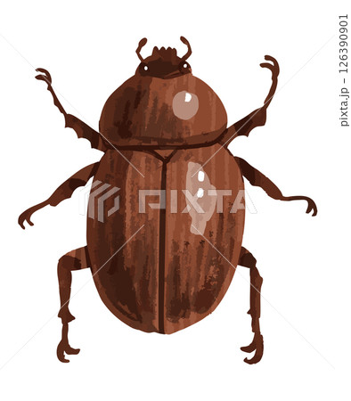 カブトムシのベクターイラスト 126390901