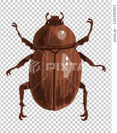 カブトムシのベクターイラスト 126390901