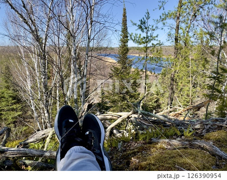 Relaxing view of the forest from the top of the hill 126390954