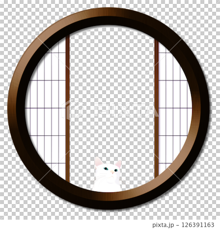 Round window and cat 126391163