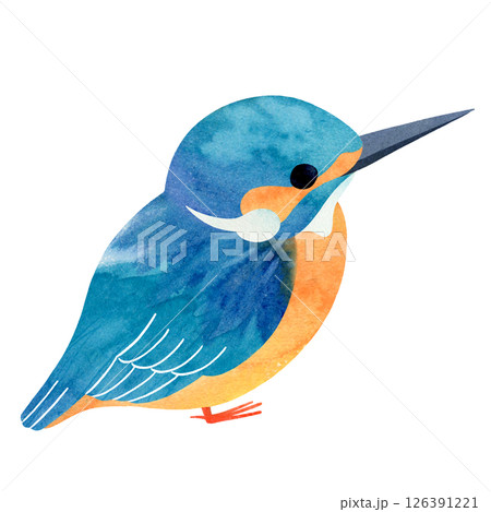 座るカワセミ 126391221