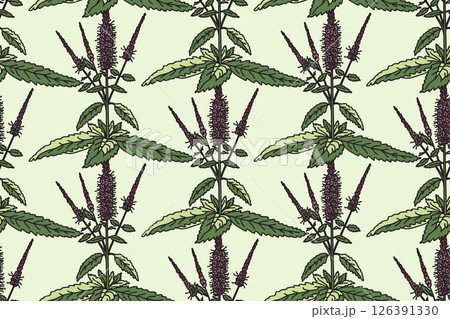 Botanical floral seamless pattern with wildflowers vector illustration. Repeating medicinal plants with purple Flowers Stems Leaves in pastel green background. Graphic design for Fashion Wedding Cover Botanical floral seamless pattern with wildflowers vector illustration. Repeating medicinal plants with purple Flowers Stems Leaves in pastel green background. Graphic design for Fashion Wedding Cover 126391330