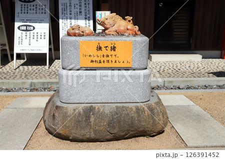 和気神社 撫で猪（岡山県 和気町） 126391452