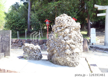 和気神社のさざれ石（岡山県 和気町） 126391461