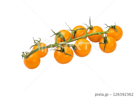Fresh small yellow cherry tomatoes assortment, mini organic cocktail tomate mix isolated on white background. top view Fresh small yellow cherry tomatoes assortment, mini organic cocktail tomate mix isolated on white background. top view 126392362