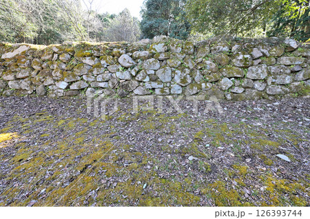 美濃国「妻木城」の石垣と曲輪の様子 126393744