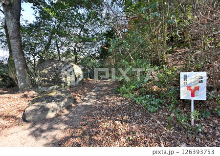 美濃国「妻木城」の石垣と曲輪の様子 美濃国「妻木城」の石垣と曲輪の様子 126393753