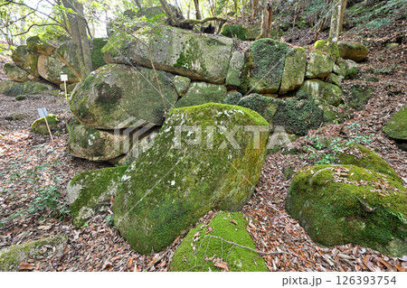 美濃国「妻木城」の石垣と曲輪の様子 美濃国「妻木城」の石垣と曲輪の様子 126393754