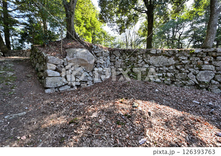 美濃国「妻木城」の石垣と曲輪の様子 126393763