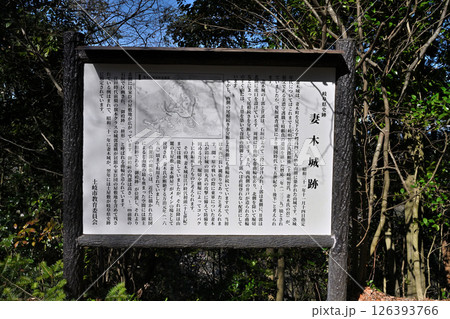 美濃国「妻木城」の石垣と曲輪の様子 美濃国「妻木城」の石垣と曲輪の様子 126393766