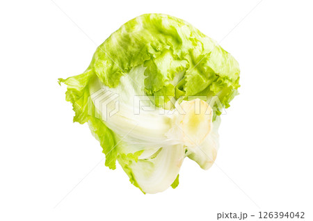 Iceberg lettuce full head isolated on white background. top view Iceberg lettuce full head isolated on white background. top view 126394042