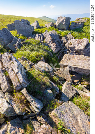 landscape with sandstone rocks on the grassy meadow. natural environment. alpine scenery of ukraine in summer. smooth mountain in morning light. carpathian alps 126394124
