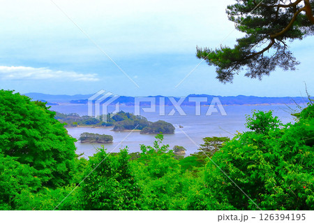 西行戻しの松公園から展望する松島湾 126394195