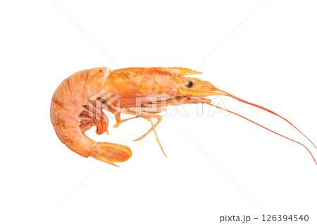 Fresh red Argentine shrimp, raw Prawn Langostino Austral isolated on white background. top view 126394540