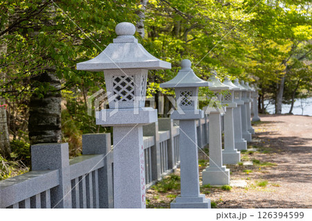 初夏の赤城山 赤城神社の境内 初夏の赤城山 赤城神社の境内 126394599