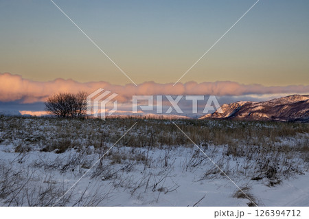 Winter meadow and sunrise clouds, Norway Winter meadow and sunrise clouds, Norway 126394712