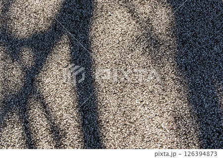 Pattern floor with old cement path. Floor texture background in sunny day with shadow. Pattern floor with old cement path. Floor texture background in sunny day with shadow. 126394873