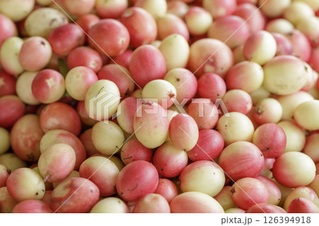 Pile of Karonda Fruit, Carissa carandas L. Karanda; Carunda 126394918
