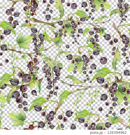 Currant gooseberry with green leaves, long flower clusters, garden berry hanging on branches. Isolated seamless pattern hand drawn in watercolor. Craft drinks, grocery, background wallpaper, packaging Currant gooseberry with green leaves, long flower clusters, garden berry hanging on branches. Isolated seamless pattern hand drawn in watercolor. Craft drinks, grocery, background wallpaper, packaging 126394962