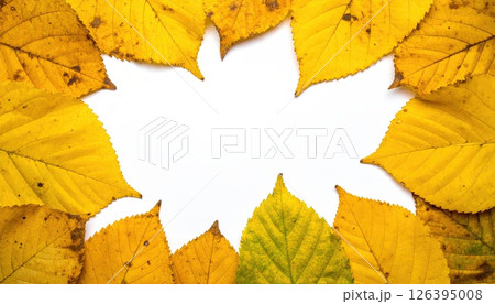 《AI画像》黄色い葉っぱのフレーム素材 《AI画像》黄色い葉っぱのフレーム素材 126395008