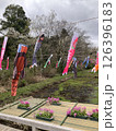 公園に飾られた鯉のぼり 126396183