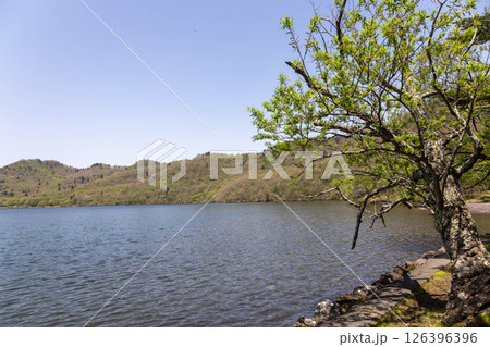 初夏の赤城山 大沼湖畔 初夏の赤城山 大沼湖畔 126396396