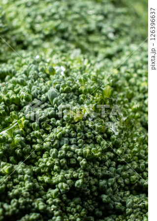 Green Broccoli Head with Detailed Texture Green Broccoli Head with Detailed Texture 126396637
