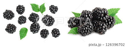 blackberry isolated on a white background closeup. Clipping path and full depth of field. Top view. Flat lay blackberry isolated on a white background closeup. Clipping path and full depth of field. Top view. Flat lay 126396702